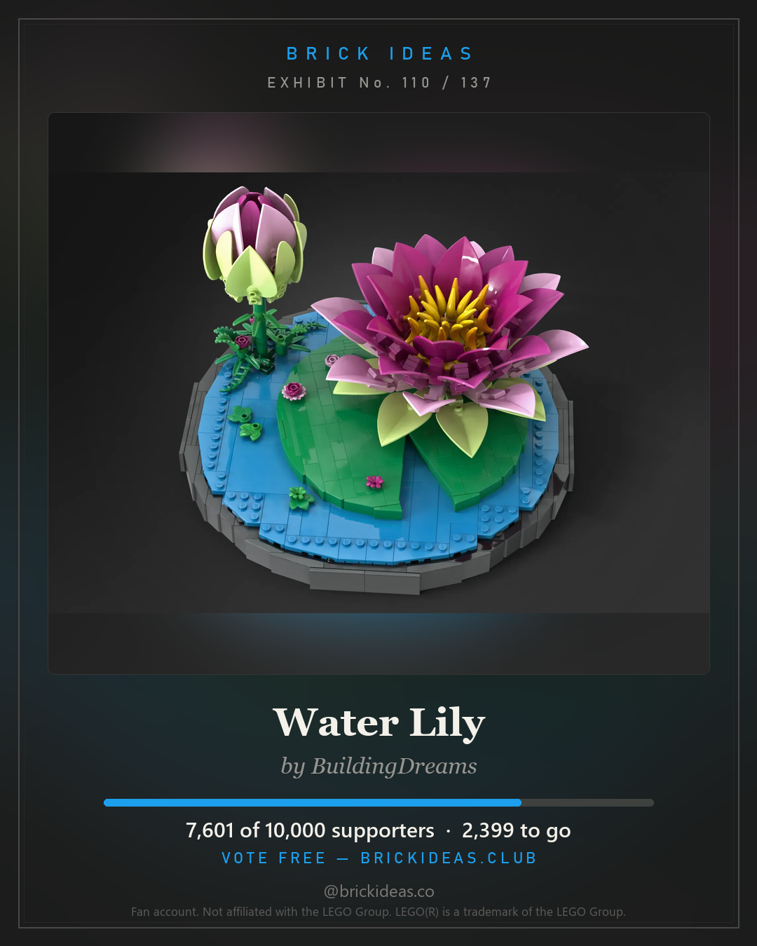 Water Lily