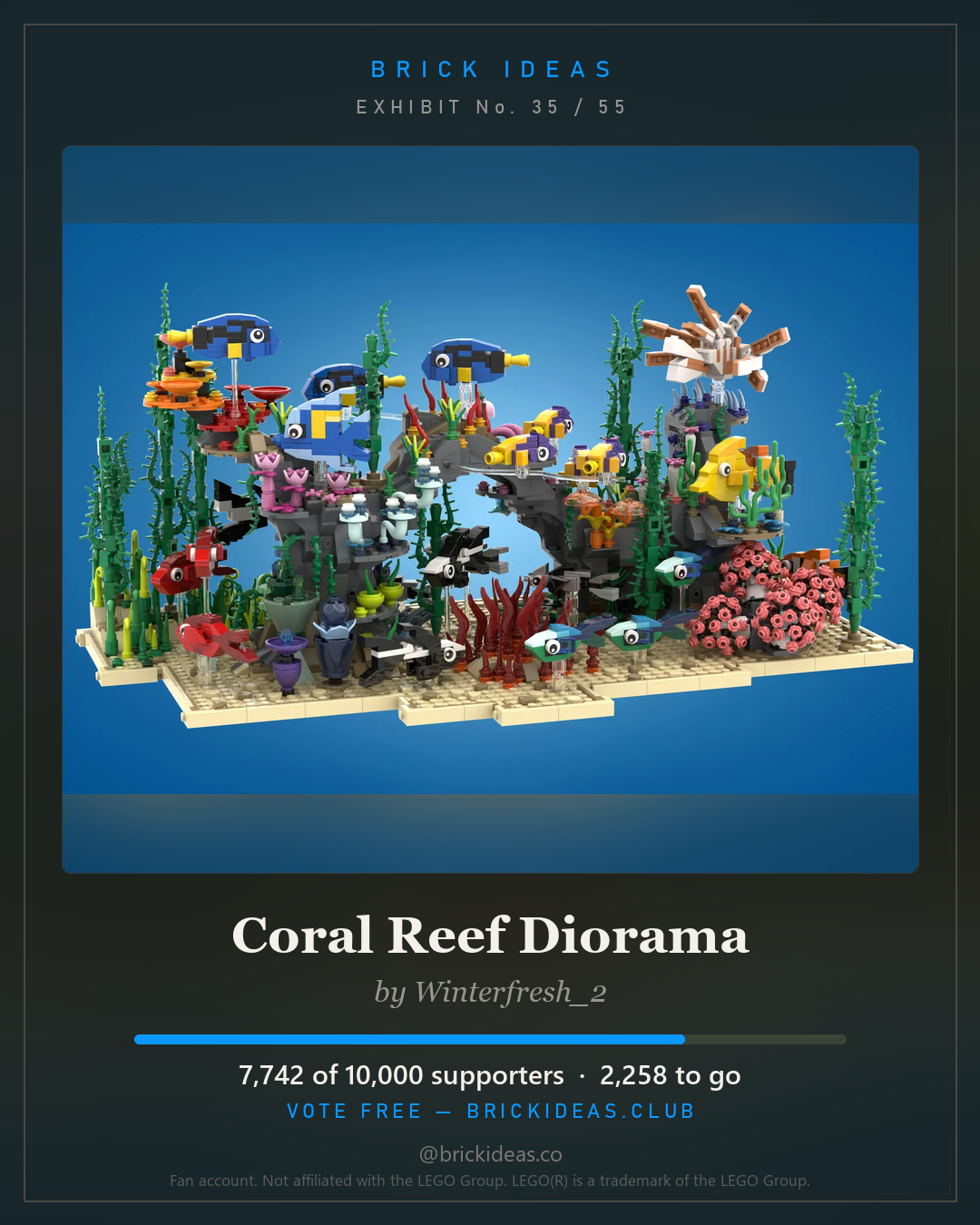 Coral Reef Diorama